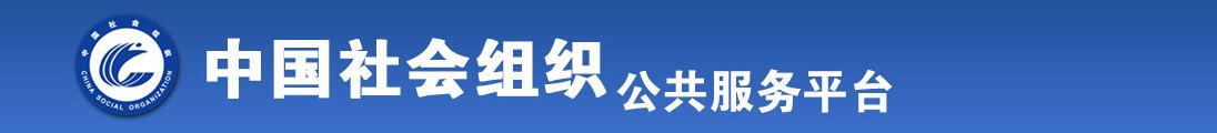 狠狠插草全国社会组织信息查询